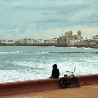 6686体育金牌作者Bess