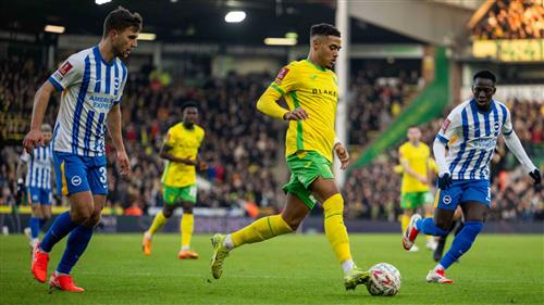 Thành phố Norwich vs Brighton