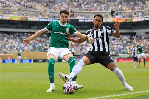 Palmeiras vs RJ Botafogo
