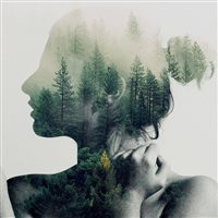 系统推荐