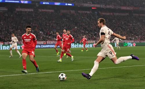 Bayern Munich đấu với Benfica